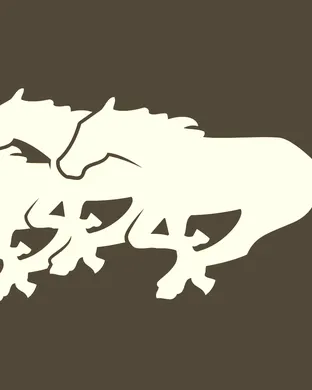 Calgary Stampeders Edmonton