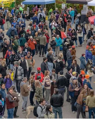 PickleFest Edmonton